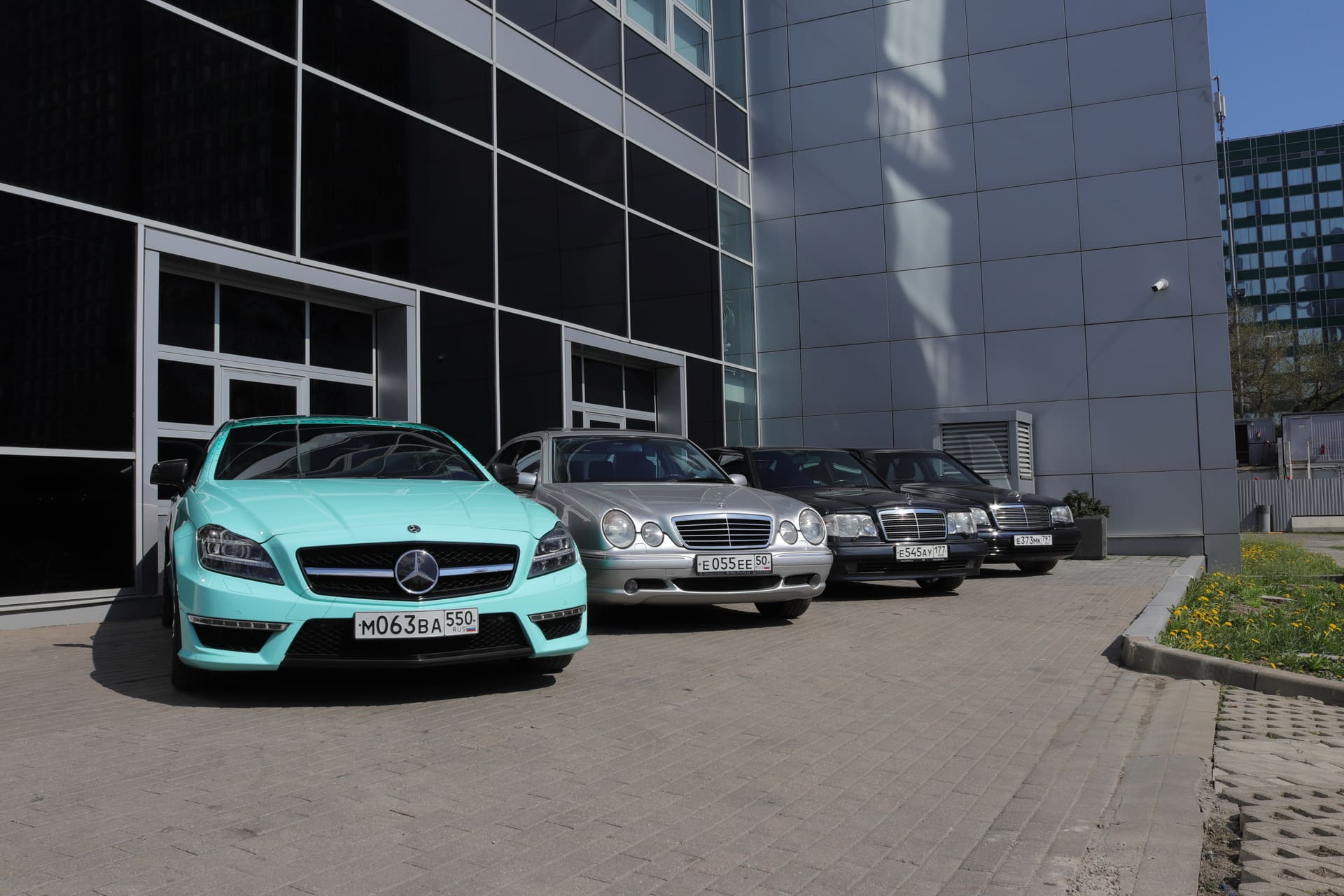 МБ РУС × WDB CLUB