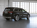 Mercedes-Benz GLS Luxury Черный Non metallic фото 2