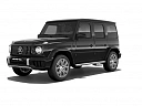 Mercedes-Benz G-Класс AMG Черный Non metallic фото 31