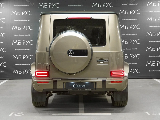 Mercedes-Benz G-Класс Коричневый Non metallic фото 6