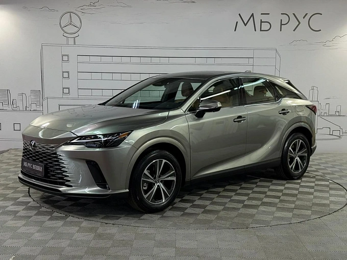 Lexus RX Зеленый Non metallic фото 1