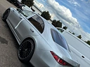 Mercedes-Benz S-Класс Серебряный Non metallic фото 5