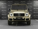 Mercedes-Benz G-Класс Золотой Non metallic фото 5