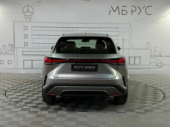Lexus RX Зеленый Non metallic фото 8