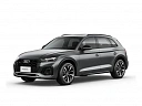 Audi Q5 Серый Non metallic фото 31