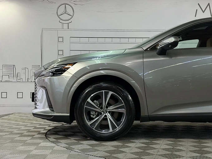 Lexus RX Зеленый Non metallic фото 20