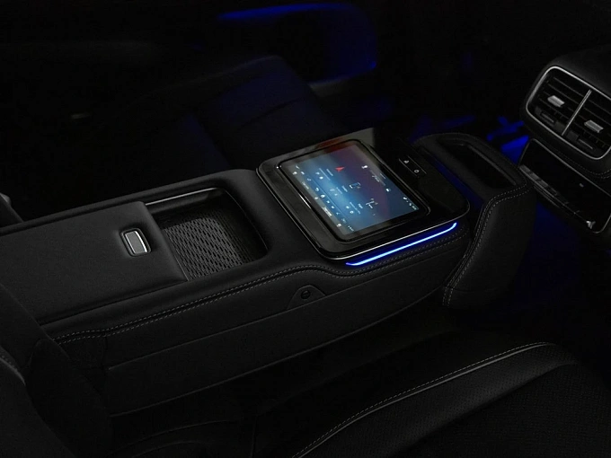 Mercedes-Benz GLS Серый Non metallic фото 29