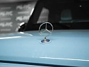 Mercedes-Benz G-Класс AMG Синий Non metallic фото 16