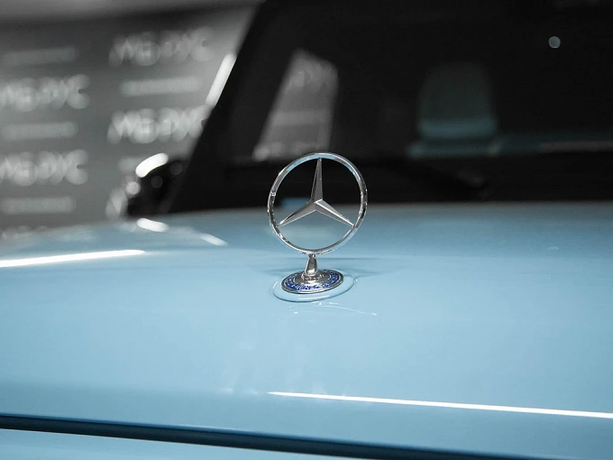 Mercedes-Benz G-Класс AMG Синий Non metallic фото 16