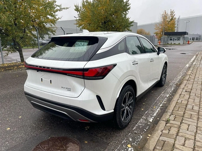 Lexus RX Белый Non metallic фото 5