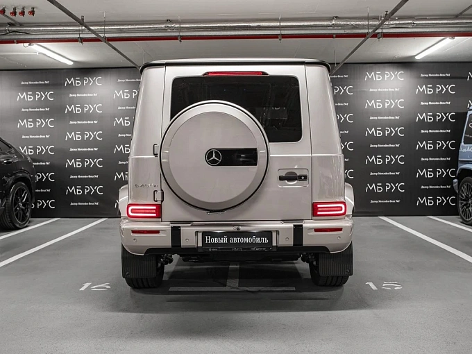 Mercedes-Benz G-Класс Золотой Non metallic фото 6