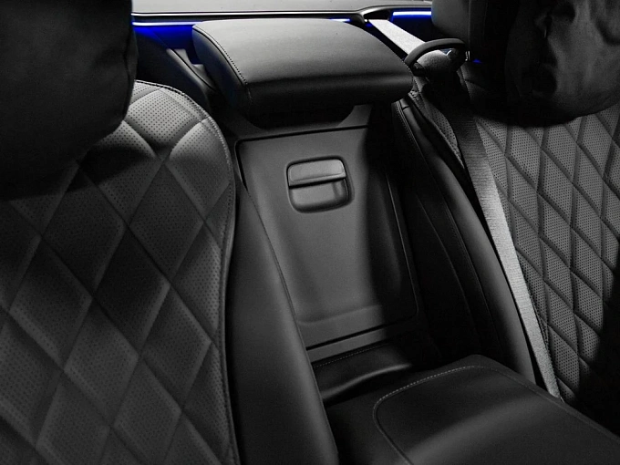 Mercedes-Benz S-Класс Серый Non metallic фото 32